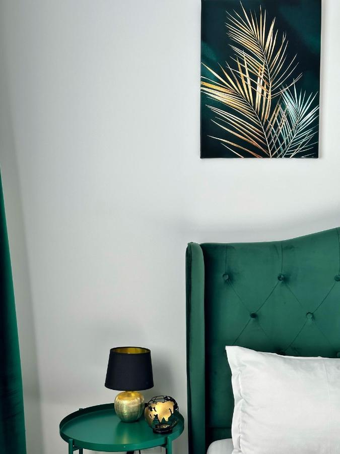 Koa - Urban Penthouse Apartment Brasov Ngoại thất bức ảnh